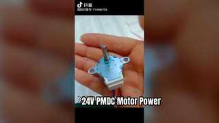 Introduce 25BY48L029 Synchronous Permanent Magnet Motor 24V PMDC Motor Manufacturer For You