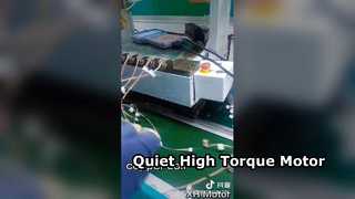 Copper Coil of Permanent Magnet Stepper Motor